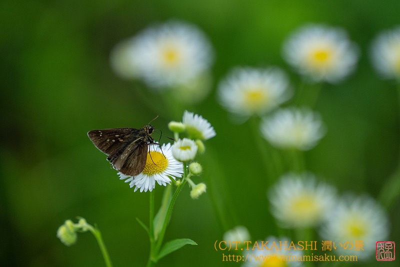 ../Images/7R240714 (151).jpg